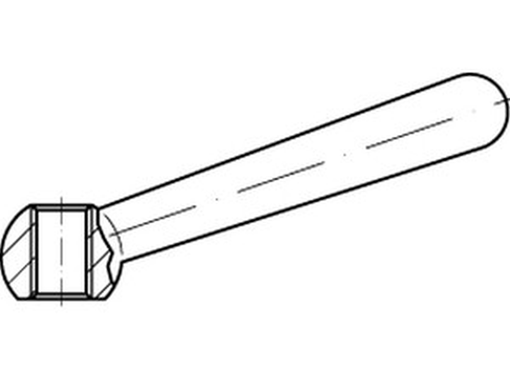 Bild von DIN 99 A2 N 80 M 10 geneigt mit Gewinde (rostfrei) Kegelgriffe - Pkg. (1) (VPE=1 Stück)
