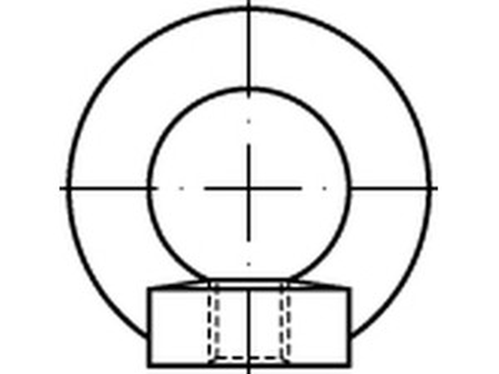 Bild von DIN 582 Edelstahl A2 M16 (rostfrei) Ringmuttern - Pkg. (1) (VPE=1 Stück)