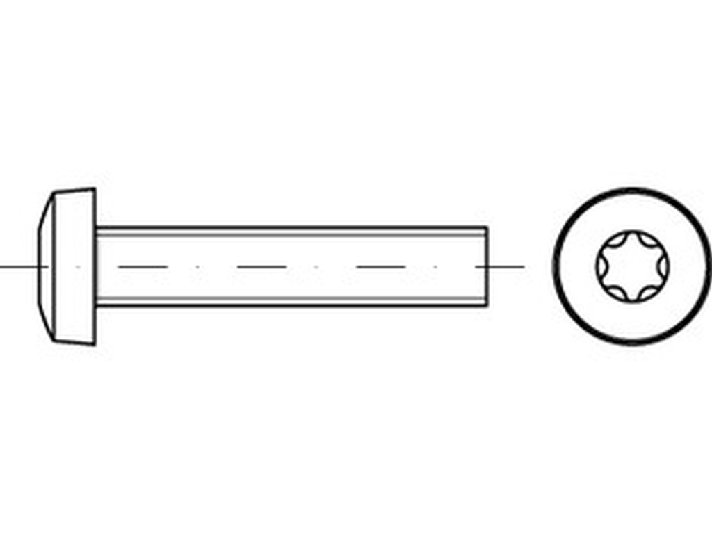 Bild von ISO 14583 4.8 M 2,5x16 -T (galv. verzinkt) Flachkopfschrauben mit Innensechsrund-ISR (T) - Pkg. (2000) (VPE=2000 Pkg. (2000))