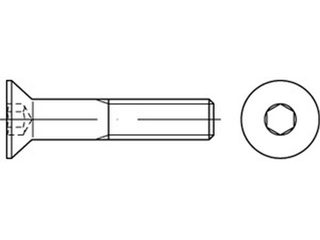 Bild von ISO 10642 (Edelstahl A2) M 10x25 (rostfrei) Senkschrauben mit Innensechskant (Senkkopf) - Pkg. (100) (VPE=100 Pkg. (100))