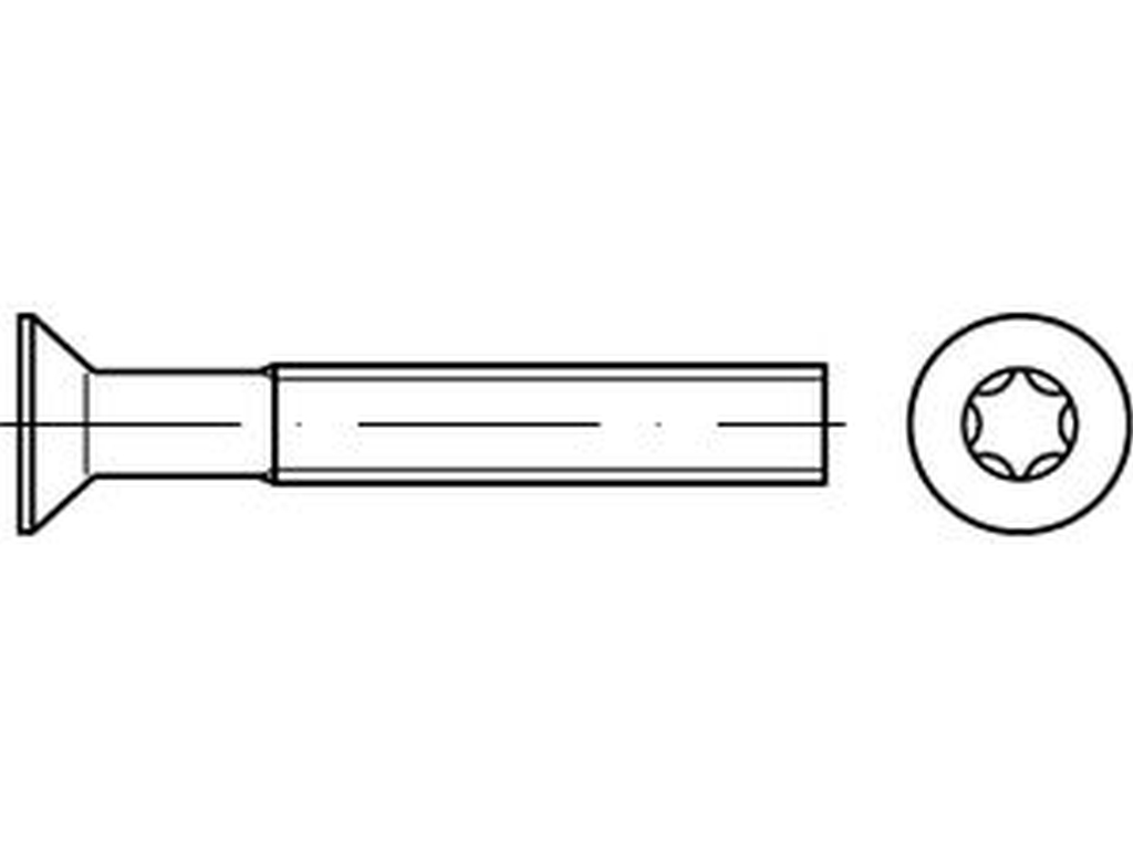 Bild von ISO 14581 (Edelstahl A2) M 10x100 -Vollgewinde- (rostfrei) Senkschrauben mit ISR = Innensechsrund (T) - Pkg. (50) (VPE=50 Pkg. (50))