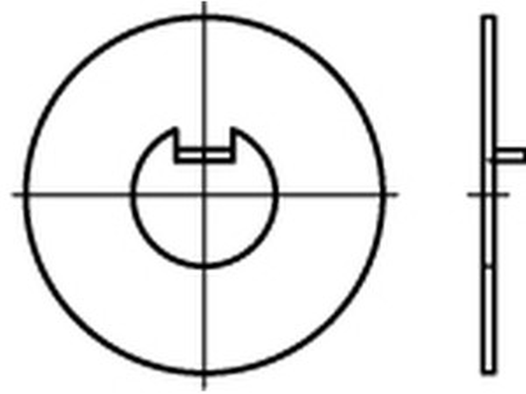 Bild von DIN 462 Stahl 100 (blank) Scheiben mit Innennase - Pkg. (10) (VPE=10 Pkg. (10))