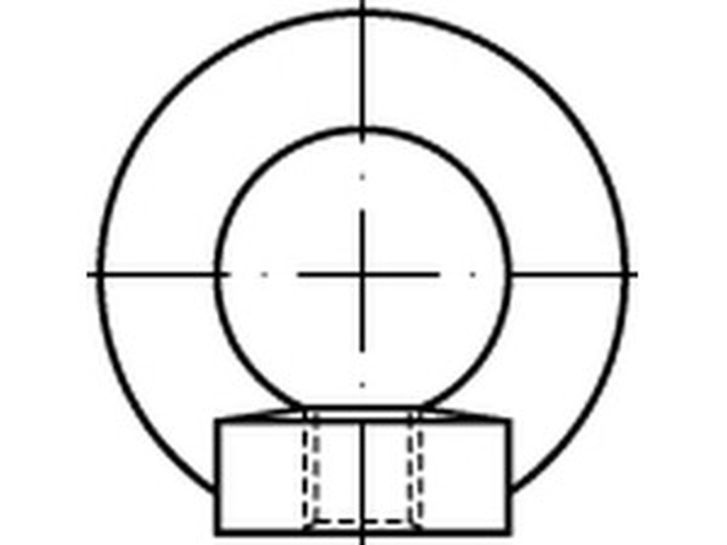 Bild von DIN 582 Stahl: C15E M6 (blank) Ringmuttern - Pkg. (25) (VPE=25 Pkg. (25))
