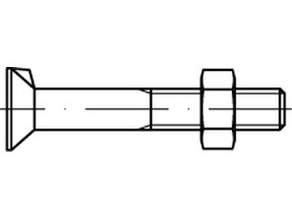 Bild von DIN 604 Mu St. M 6x20 (blank) Senkschrauben mit Nase - Pkg. (500) (VPE=500 Pkg. (500))