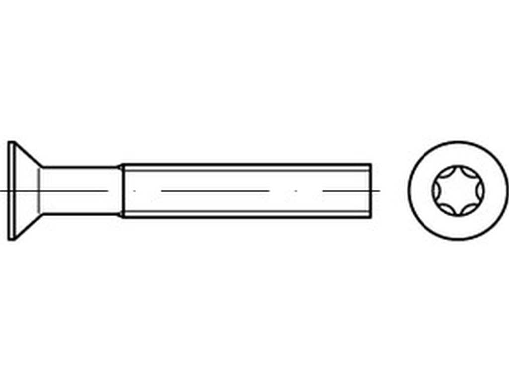 Bild von DIN 965 A4 M 2x3 -T6 (rostfrei) Senkschr. mit KreuzSchl. - Pkg. (2000) (VPE=2000 Pkg. (2000))