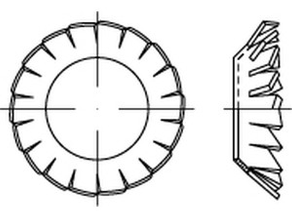 Bild von DIN 6798 1.4310 V 13 (Federstahl) Fächerscheiben - Pkg. (100) (VPE=100 Pkg. (100))