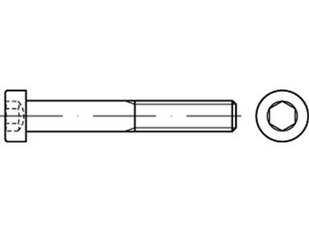 Bild von DIN 7984 8.8 M 3x12 (galv. verzinkt) Zylinderschr. mit I-6kt und niedrigem Kopf - Pkg. (500) (VPE=500 Pkg. (500))