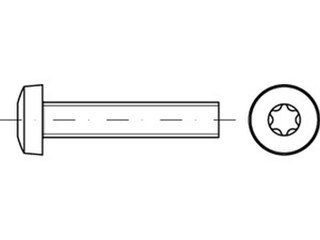 Bild von ISO 14583 A2 M 6x50 -T30 (rostfrei) Flachkopfschrauben mit Innensechsrund-ISR (T) - Pkg. (200) (VPE=200 Pkg. (200))