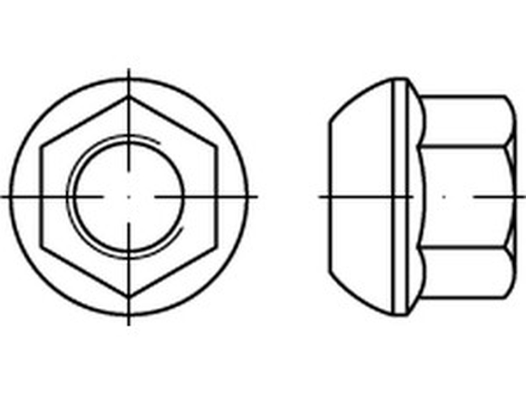 Bild von DIN 74361 8 AM 14x1,5 SW 19 Kugelbundmuttern (blank) Federringe - Pkg. (100) (VPE=100 Pkg. (100))