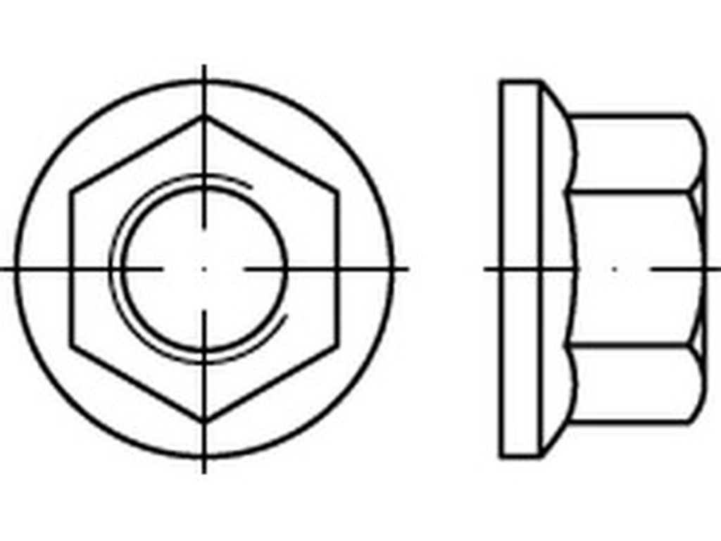 Bild von DIN 74361 10 BM 20x1,5 SW 27 Flachbundmuttern (blank) Federringe - Pkg. (100) (VPE=100 Pkg. (100))