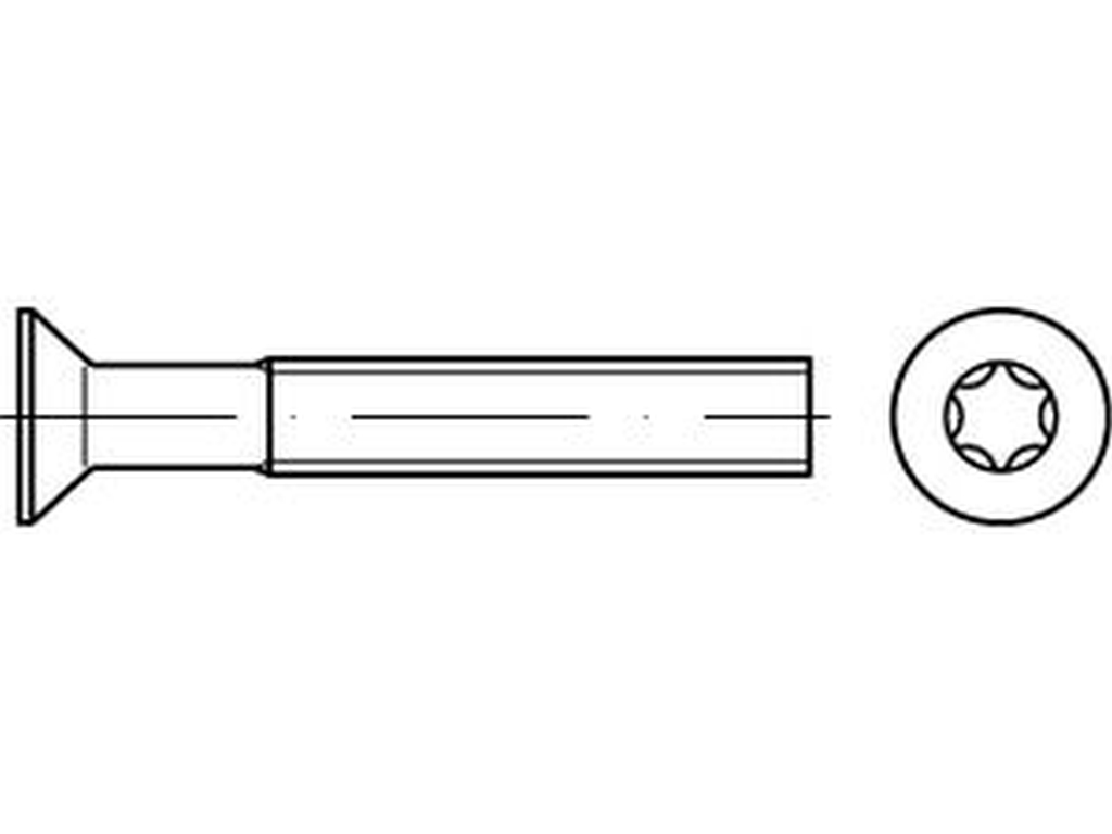 Bild von ISO 14581 A2 M 8x12 -T45 (rostfrei) Senkschrauben mit Innensechsrund-ISR (T) - Pkg. (100) (VPE=100 Pkg. (100))