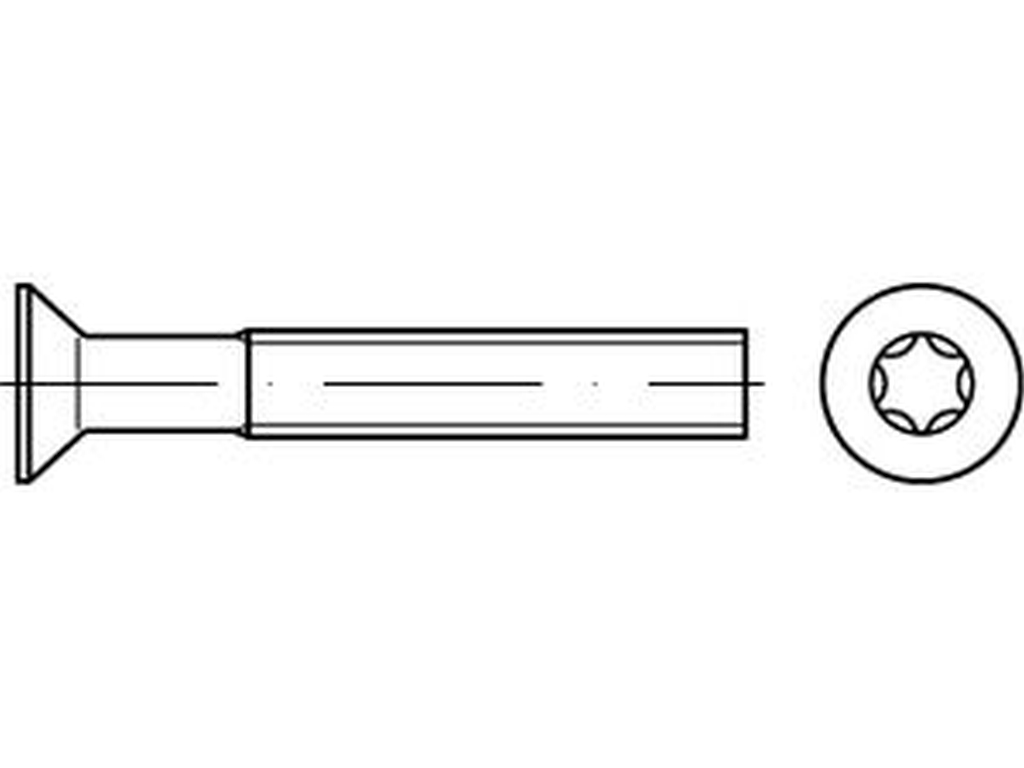 Bild von ISO 14581 04.8 M 3x10 -T10 (galv. verzinkt) Senkschrauben mit Innensechsrund-ISR (T) - Pkg. (2000) (VPE=2000 Pkg. (2000))