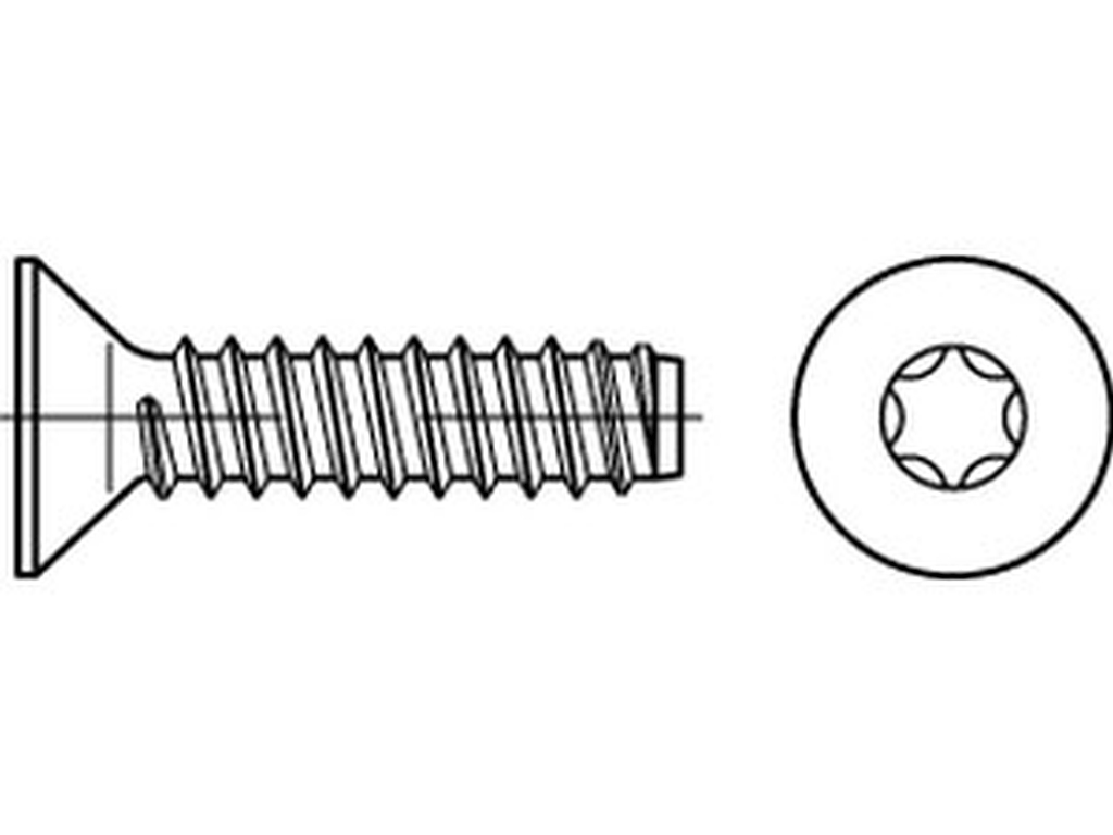 Bild von ISO 14586 Stahl 4,8x90 -F-T25 (galv. verzinkt) Senkblechschrauben mit Innensechsrund-ISR (T) - Pkg. (100) (VPE=100 Pkg. (100))