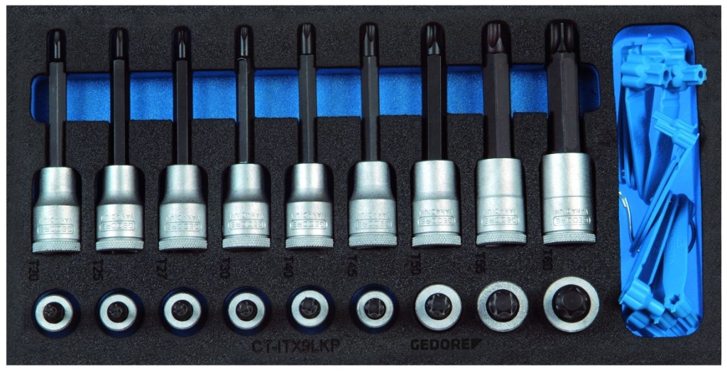 Bild von Gedore - Satz Schraubendrehereinsätze 1/2'' in Check-Tool-Modul (VPE=1 Stück)