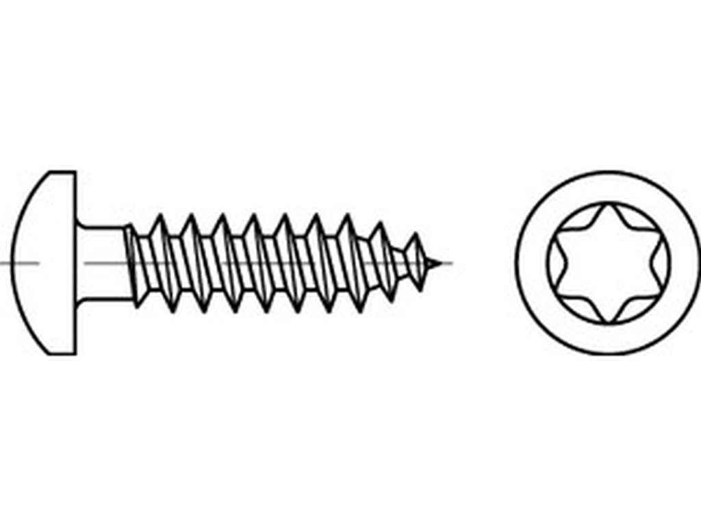 Bild von Spanplattenschrauben (Halbrundkopf)  Hako CE St. 4,5 x 45 -T20 (Stahl verzinkt) (VPE=500 Pkg. (500))
