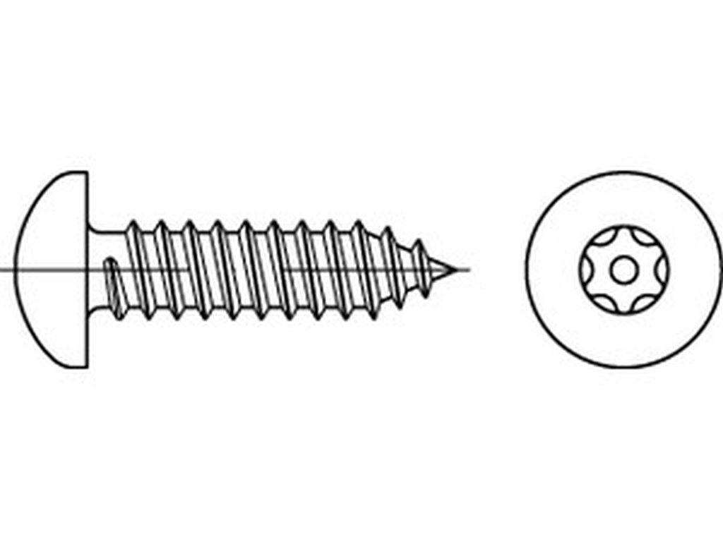 Bild von ART 88114 Sicherh. Schr. (D7981) A 2 4,2 x 16 mit Pin-ISR T15 A 2 VE=S (VPE=100 Pkg. (100))