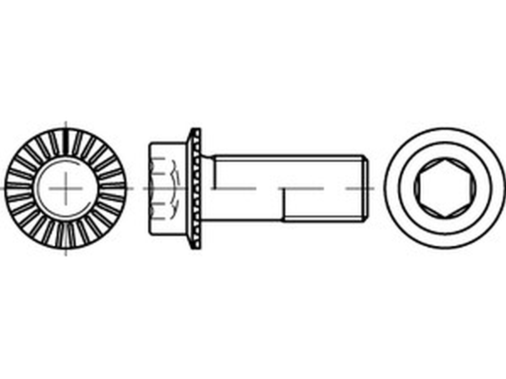 Bild von ART 88912 Innen-6-kt. Schr. Kl. 100 m. Sperr-Ripp, M 8 x 12 VE=S (VPE=200 Pkg. (200))